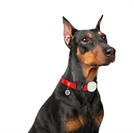 AirTag Holder GLOW i Silikone 